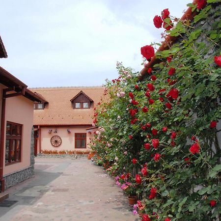 Pension Ela Sibiu Exterior foto