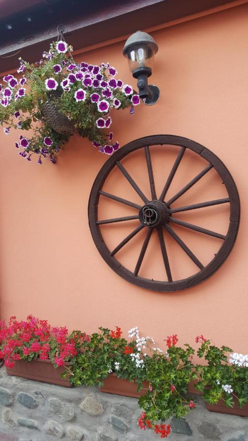 Pension Ela Sibiu Exterior foto