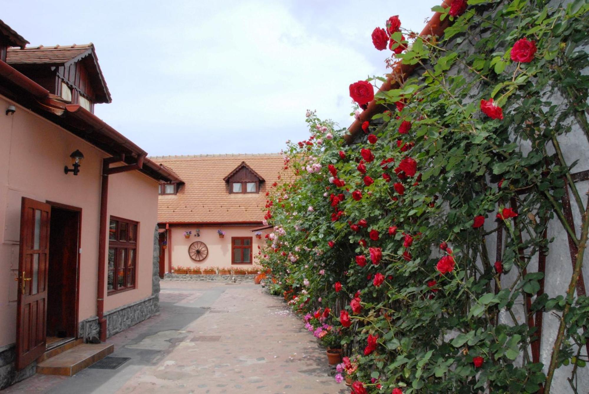 Pension Ela Sibiu Exterior foto